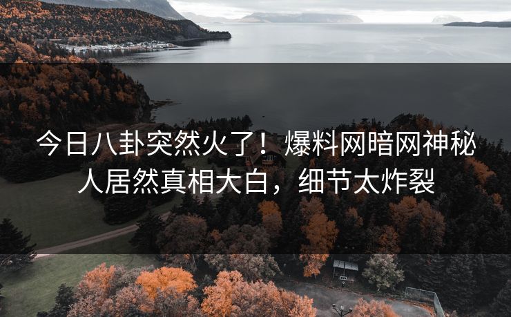 今日八卦突然火了！爆料网暗网神秘人居然真相大白，细节太炸裂