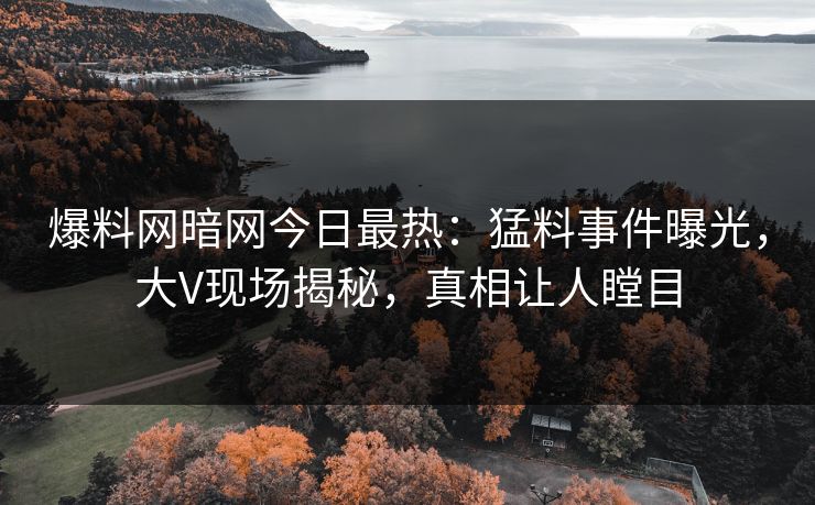 爆料网暗网今日最热：猛料事件曝光，大V现场揭秘，真相让人瞠目
