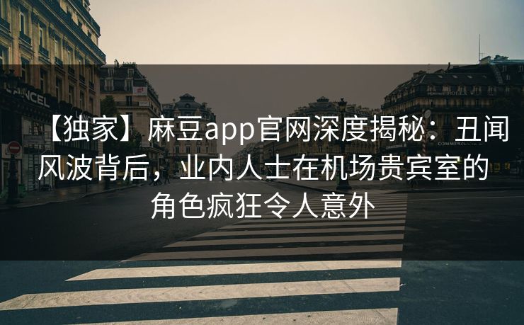 【独家】麻豆app官网深度揭秘：丑闻风波背后，业内人士在机场贵宾室的角色疯狂令人意外