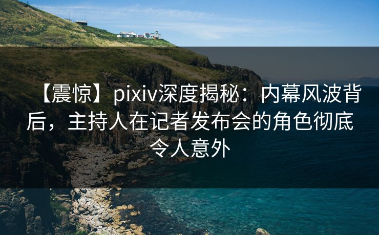 【震惊】pixiv深度揭秘：内幕风波背后，主持人在记者发布会的角色彻底令人意外