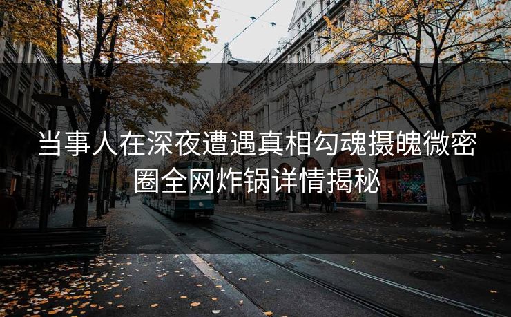 当事人在深夜遭遇真相勾魂摄魄微密圈全网炸锅详情揭秘
